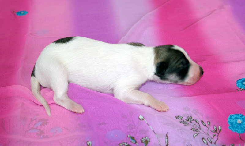 Surf Spots - Girl 2 Right